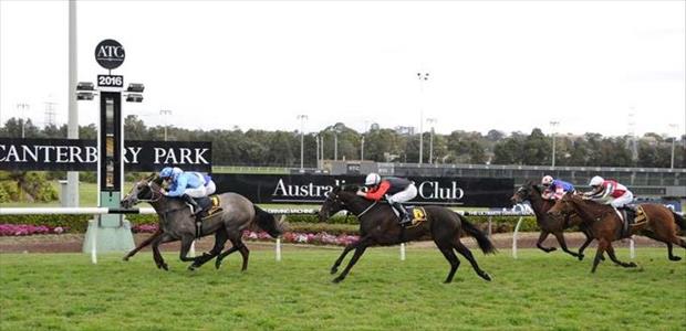 A Mist Opportunity - Canterbury Park - 31/08/2016